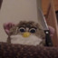 Furby Mommy