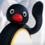 Pingu