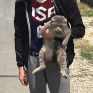 如果明天是晴天