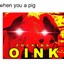XprtVortex