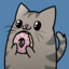 Doughnut Cat