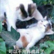 非洲至尊咸鱼#自闭玩家