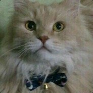 Девятый Олег