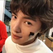 ￴ ￴ ￴￴￴花泽类