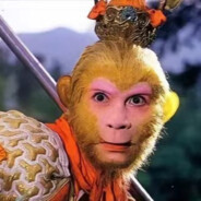 ttt大唐顶级补枪手悟空