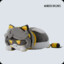 fat v cat