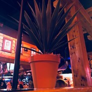 𒆜ɱ¤ȑ¤ñ ƒȑ¤ɱ ร