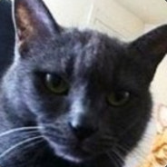 JustThePlayer