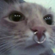 Fluff's avatar