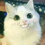 置之死地而不想生