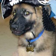 Synnerman - steam id 76561197970310547