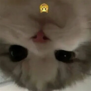 GOMYNKYL