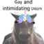 gamer unicorn arc