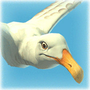 Seagull Gaming
