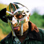 mf doom