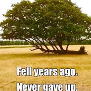 thing s thatare stuff