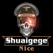 N1ce_ShuaiGe