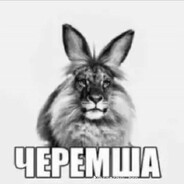 Черемша_4 - steam id 76561199568983785
