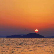 十贰Galactic Cancer