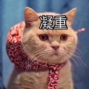 一大碗猫咪