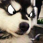 做好自己 剩下看大哥的