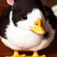 翻斗花园开impact，要上