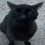 Pilates Princess ᓚᘏᗢ