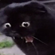 ggwp