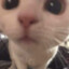 Boom's avatar