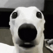 prololz's avatar