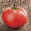 MR tomato
