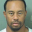 Tiger woods mugshot