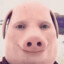 John Pork