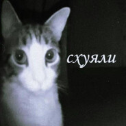ㅍ ЧㅅЙㅇК ㅍ
