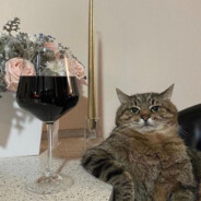 YourLocalAlcoholicMother69