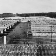 Campo De Concentracion