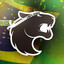 FNS_BR34