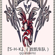 S H K-CHINA*wei wu *