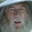 Hobbit