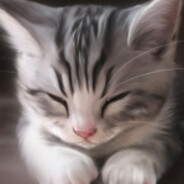 Кохан Крипта avatar