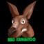 MadKangaroos