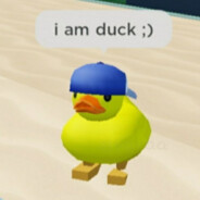 LazyDuck64