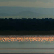 翻斗大街翻斗花园2号楼斗尊强者胡图图