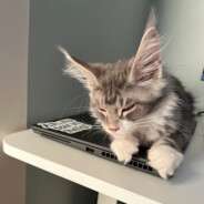 Khaled Khasmiri - steam id 76561198052749472