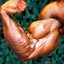 Atomic Biceps Stone Coldman