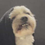 7x | Мекка  CASE.GIFT