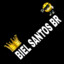 Bielsantos BR