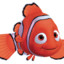 Baby Nemo