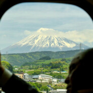 人群是那么像羊群