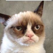 Pyrosleek - steam id 76561197960460673